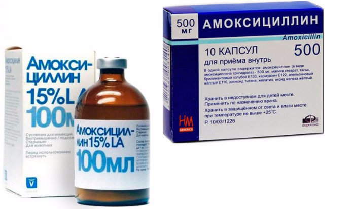 Амоксициллин при беременности 1 триместр. Амоксициллин при беременности 1 триместр