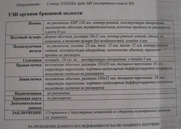 УЗИ брюшной полости: какие органы проверяют, подготовка, обследование