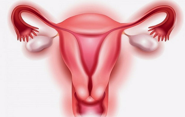 Гипоплазия матки 1 степени можно ли вылечить и как