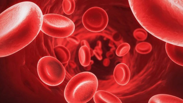 Что такое группа крови