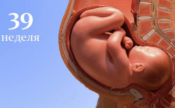 39 неделя беременности отзывы. 39 Недель беременности фото плода. Ребенок в животе 39 недель беременности. Расположение ребенка на 39 неделе беременности.