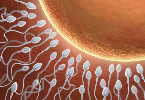 улучшения качества спермы