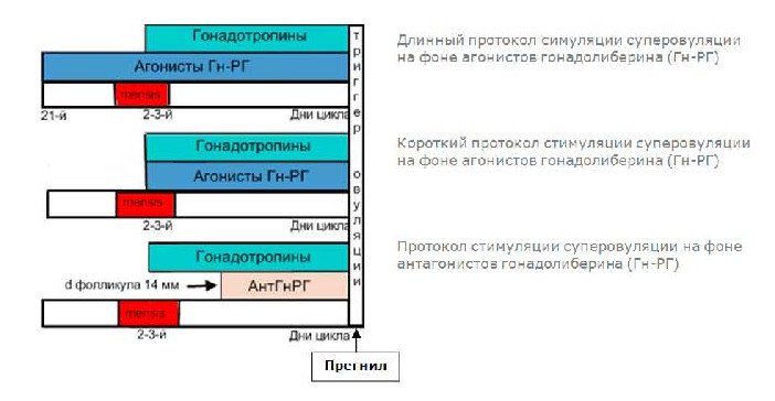 Длинный протокол эко по дням подробно схема