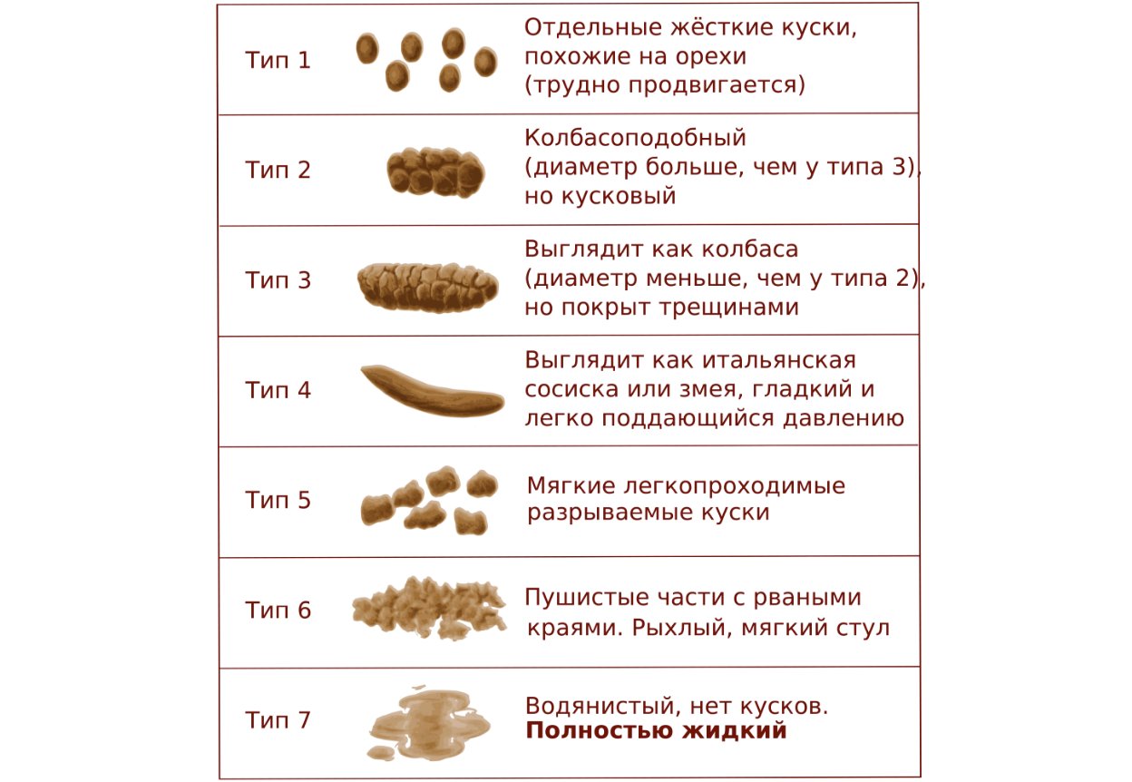 Кашицеобразный стул у взрослого